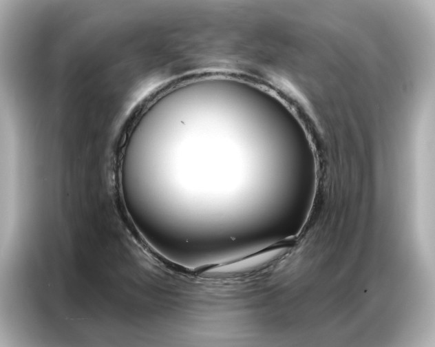 X0000086981360200704301309