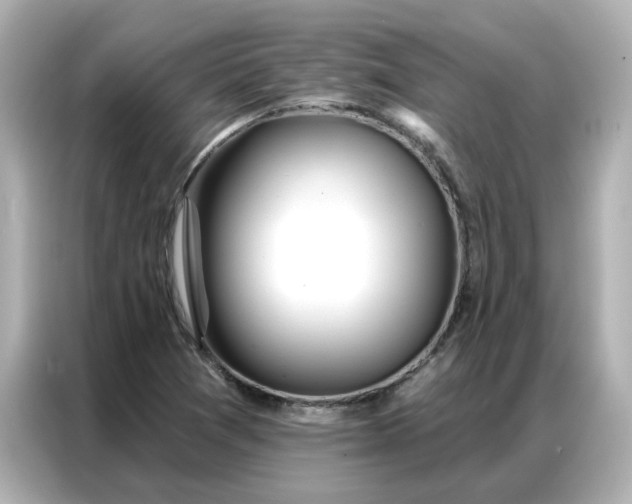 X0000086981361200704301309