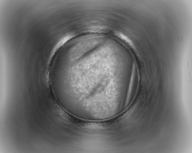 X0000086981362200704301309