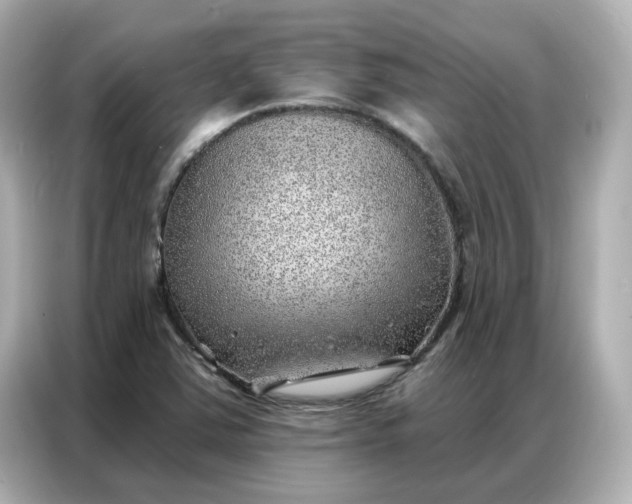 X0000086981363200704301309