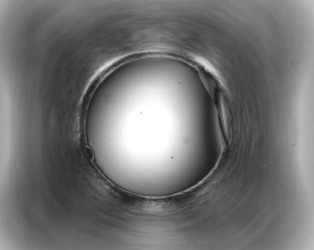 X0000086981364200704301309