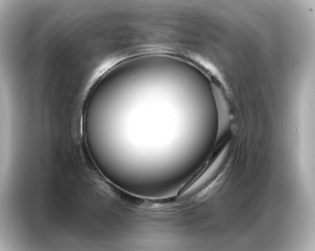 X0000086981365200704301309