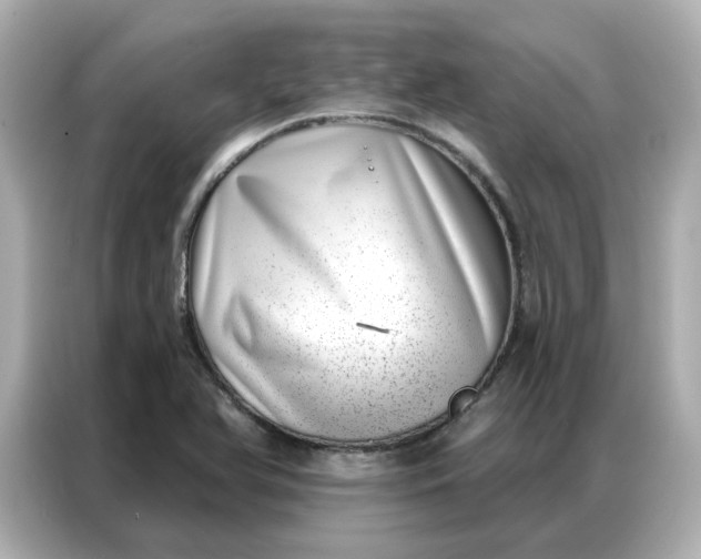 X0000086981366200704301309