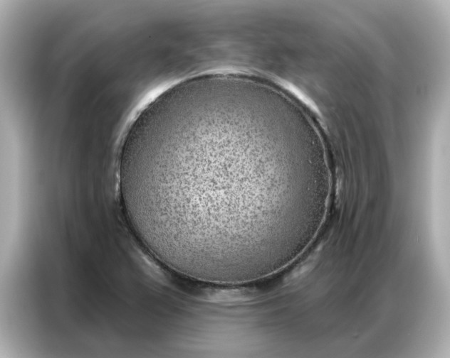 X0000086981367200704301309