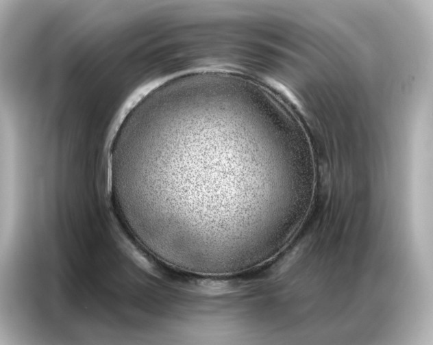 X0000086981371200704301309