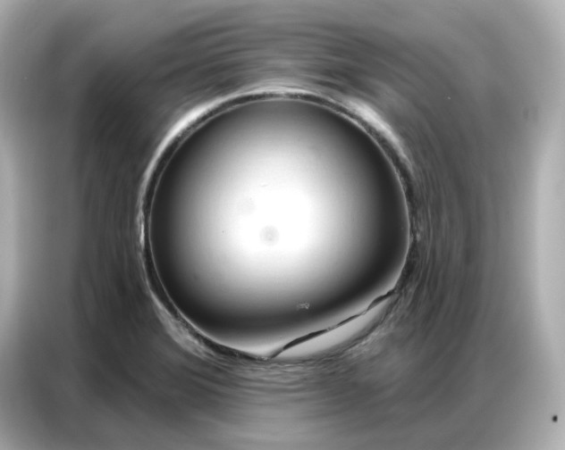 X0000086981372200704301309