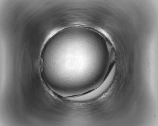 X0000086981373200704301309