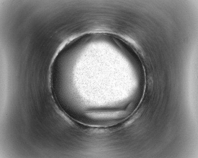 X0000086981374200704301309