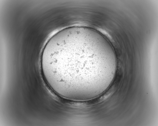 X0000086981375200704301309