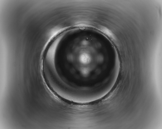 X0000086981376200704301309