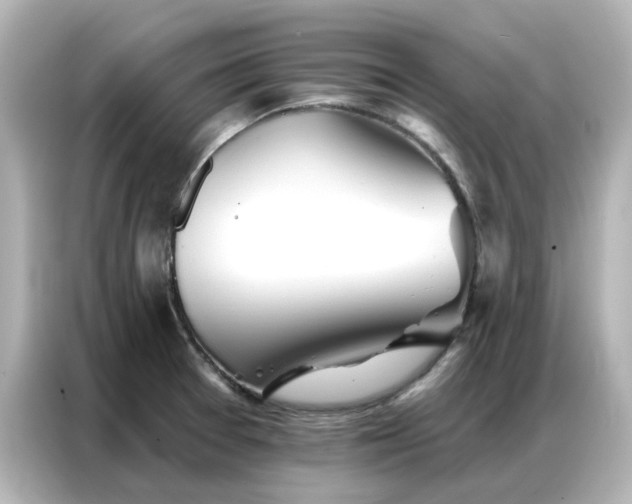 X0000086981377200704301309