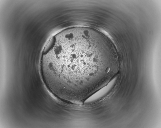 X0000086981379200704301309