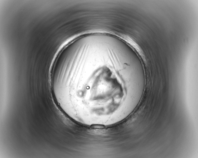 X0000086981380200704301309