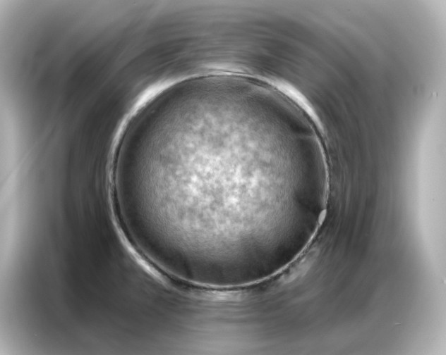 X0000086981381200704301309