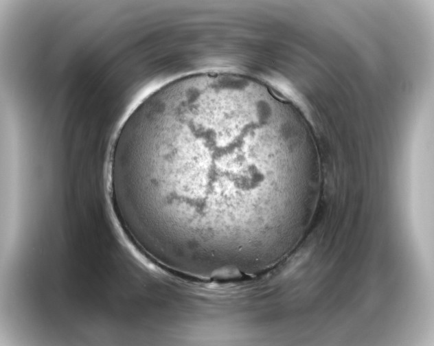 X0000086981383200704301309