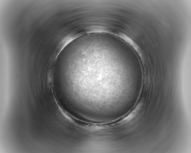 X0000086981385200704301309