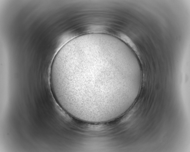 X0000086981386200704301309