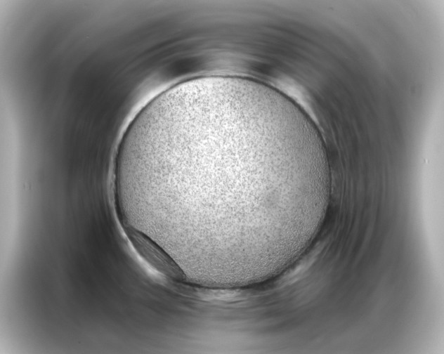 X0000086981387200704301309