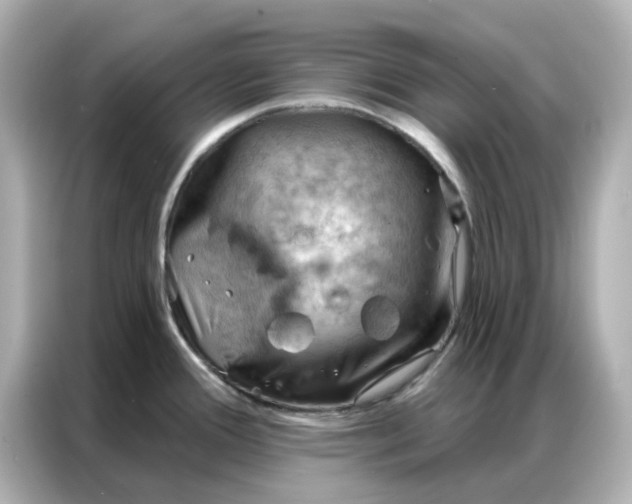 X0000086981388200704301309