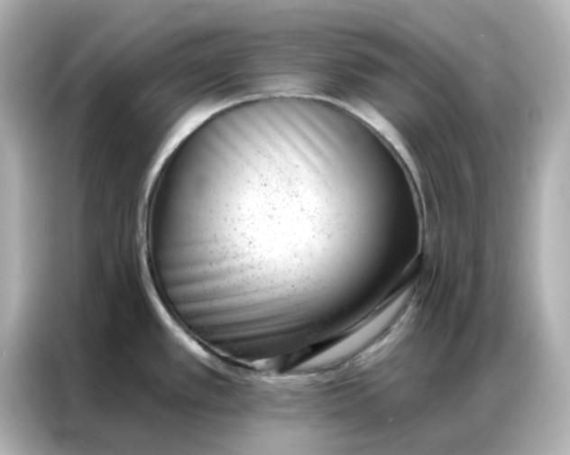 X0000086981389200704301309