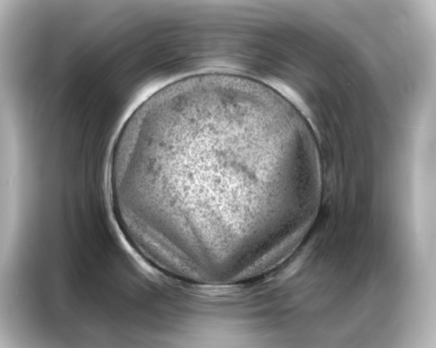 X0000086981391200704301309