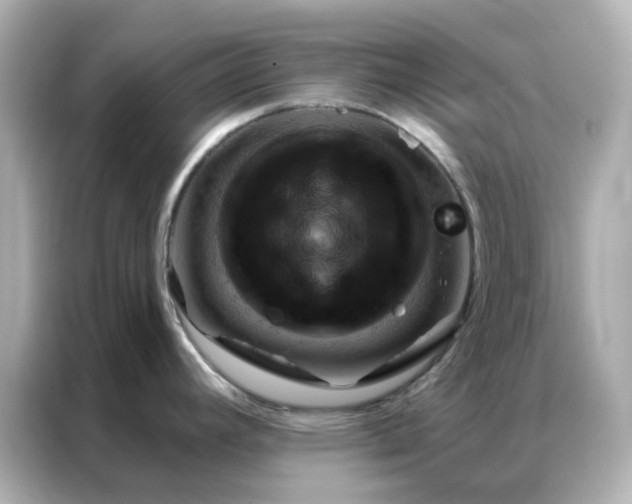 X0000086981392200704301309