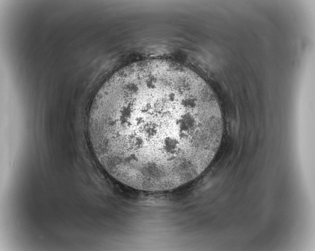 X0000086981393200704301308