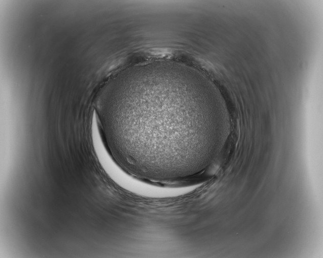 X0000086981394200704301308