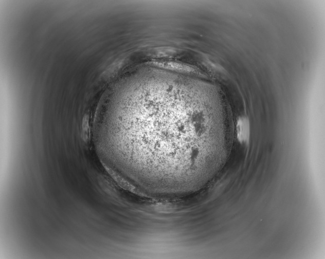 X0000086981395200704301308