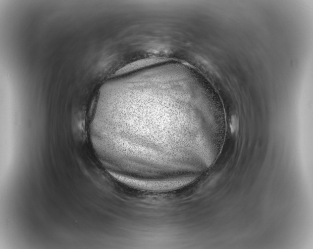 X0000086981396200704301308