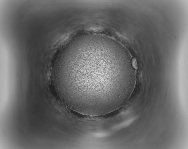 X0000086981397200704301308