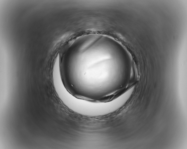 X0000086981398200704301308