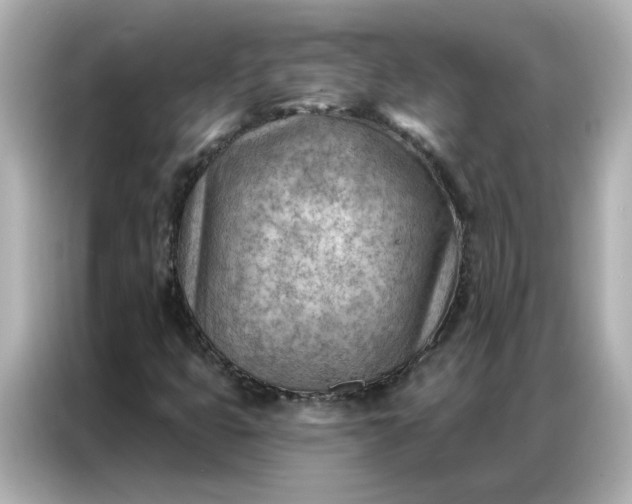 X0000086981399200704301308