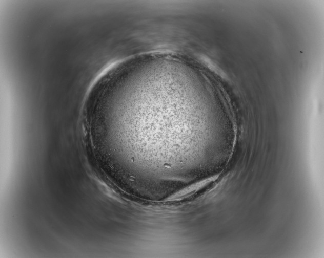 X0000086981400200704301308