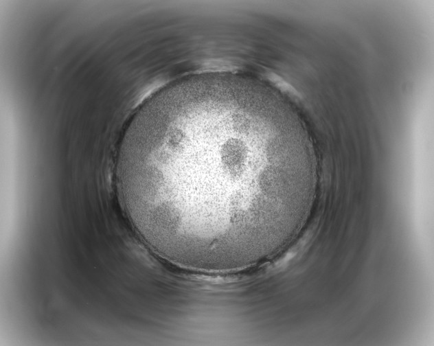 X0000086981401200704301308