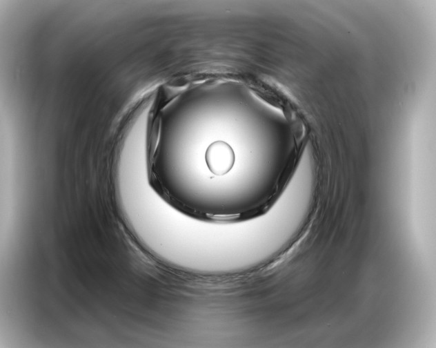 X0000086981402200704301308