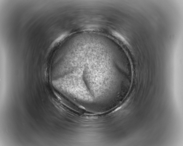 X0000086981403200704301308