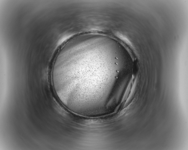 X0000086981404200704301308