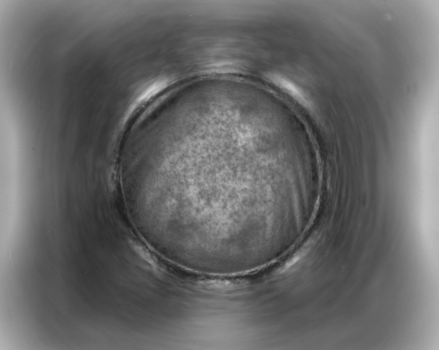 X0000086981405200704301308