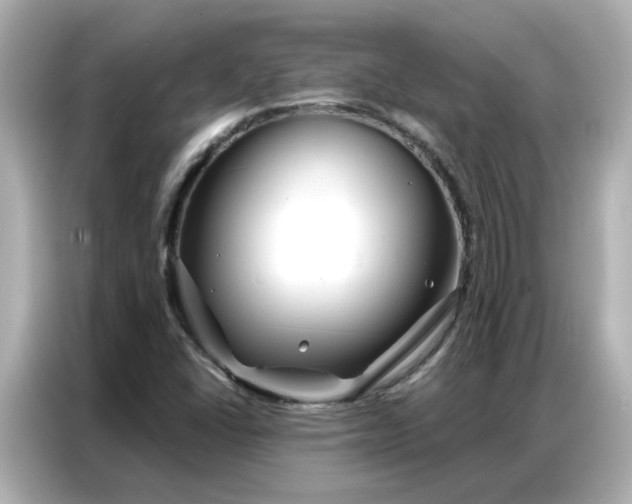 X0000086981406200704301308