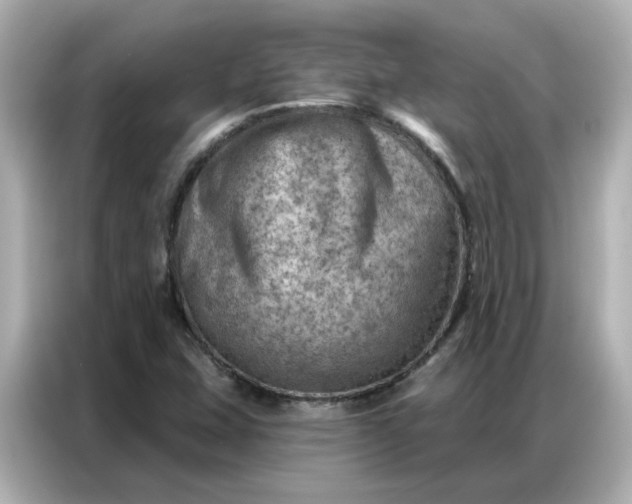 X0000086981407200704301308