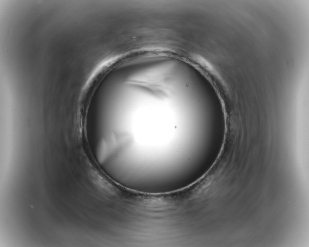 X0000086981408200704301308