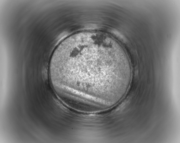 X0000086981409200704301308