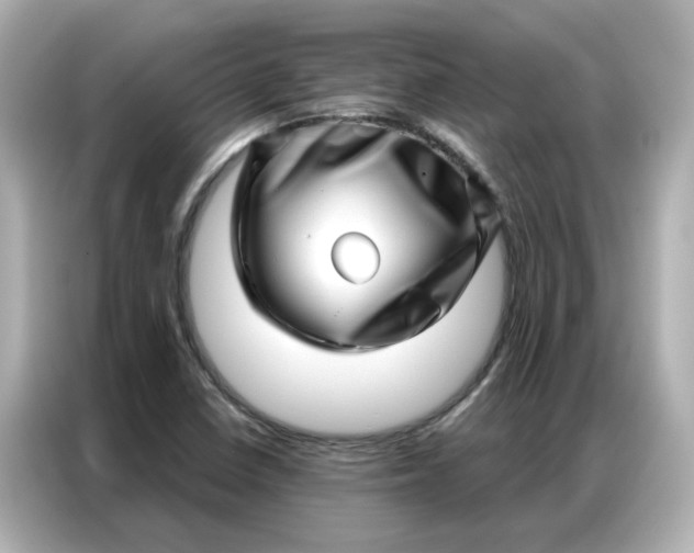 X0000086981410200704301308