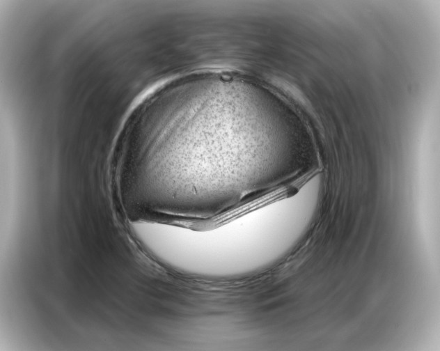 X0000086981412200704301308