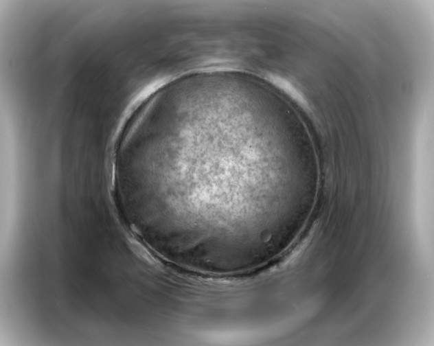 X0000086981413200704301308