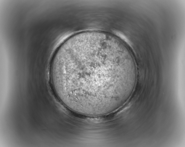 X0000086981415200704301308