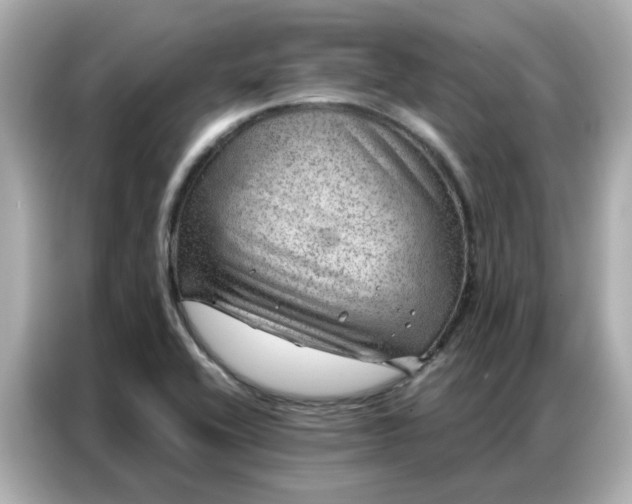 X0000086981416200704301308