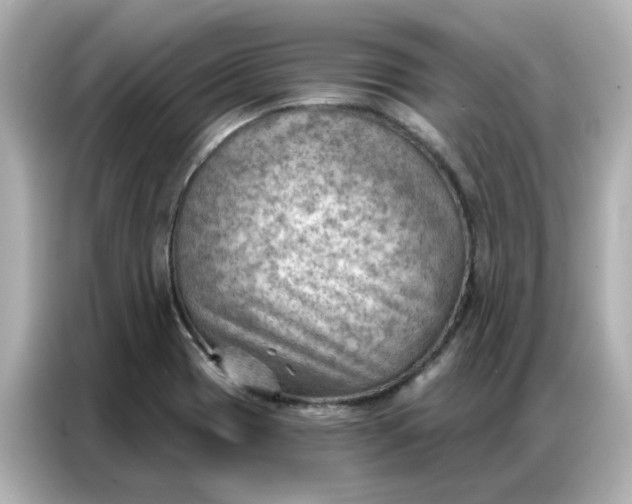 X0000086981417200704301308