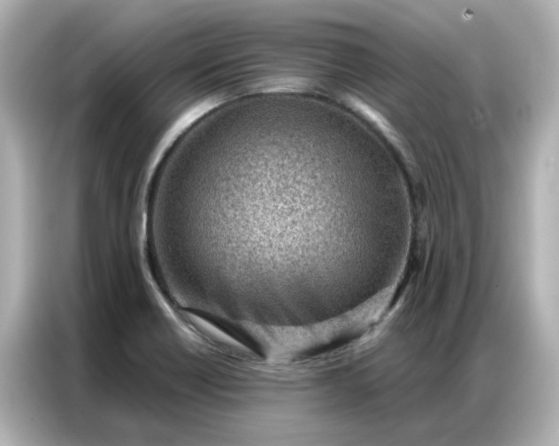 X0000086981418200704301308